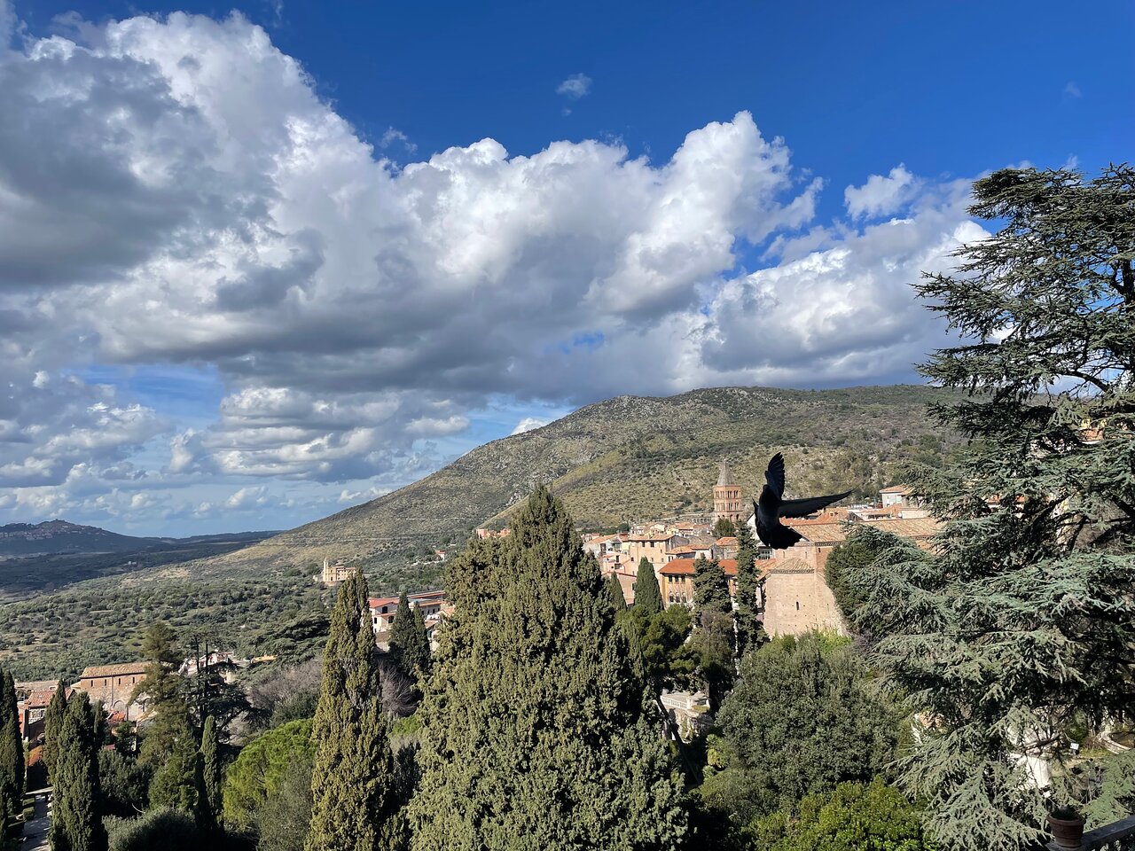 Visit Tivoli photo 5