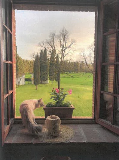 Tuscan Countryside Day Trip photo 3